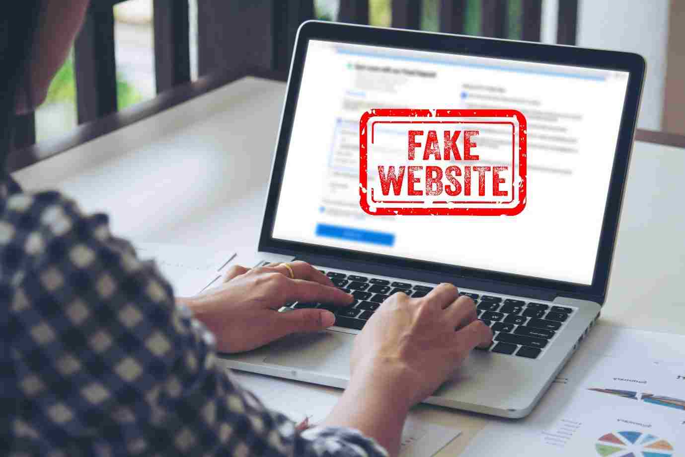 Identify Fake website