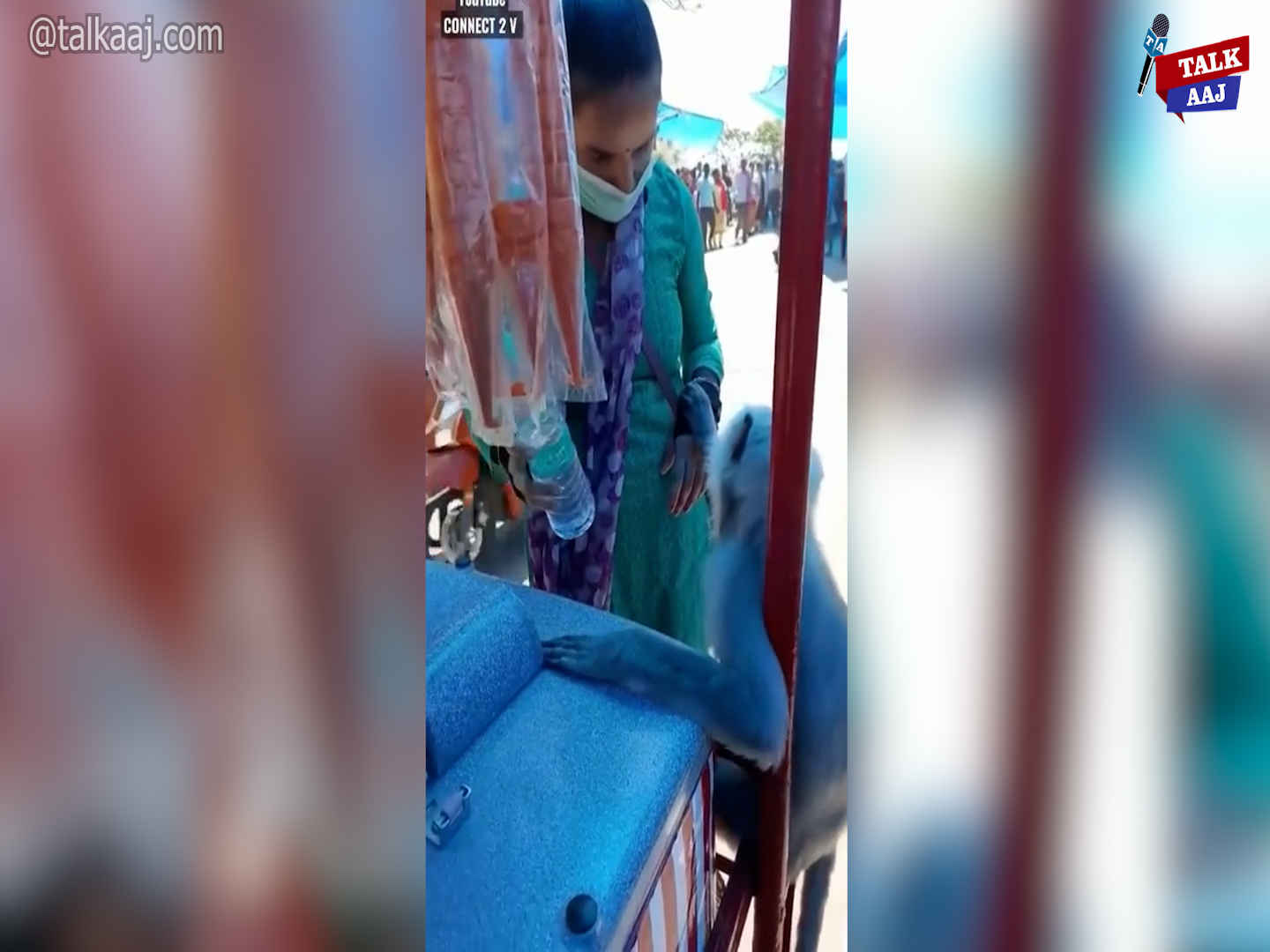 Video of langur went viral on social media