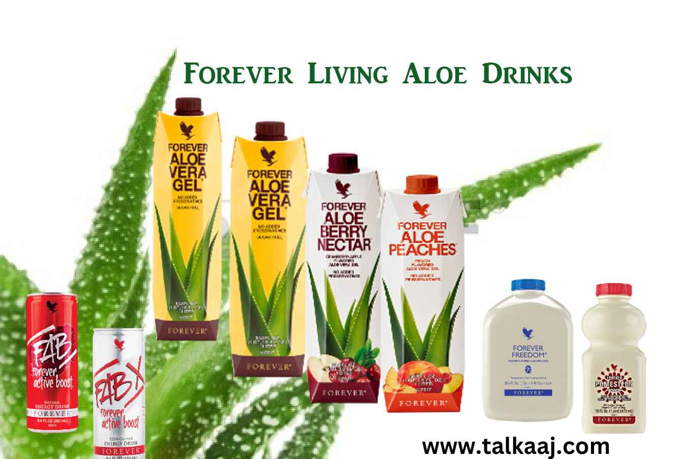 Forever Living Products Company-talkaaj.com