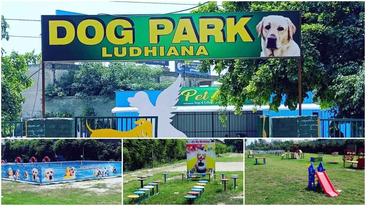 Dog Park In Ludhiana Hindi