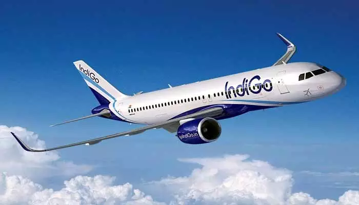 IndiGo International Sale